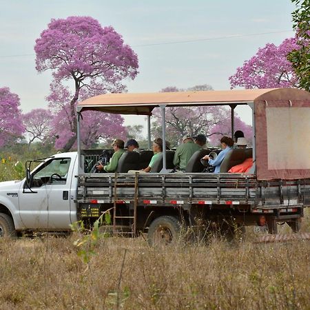 Southwild Pantanal Lodge Pixaim Exterior foto