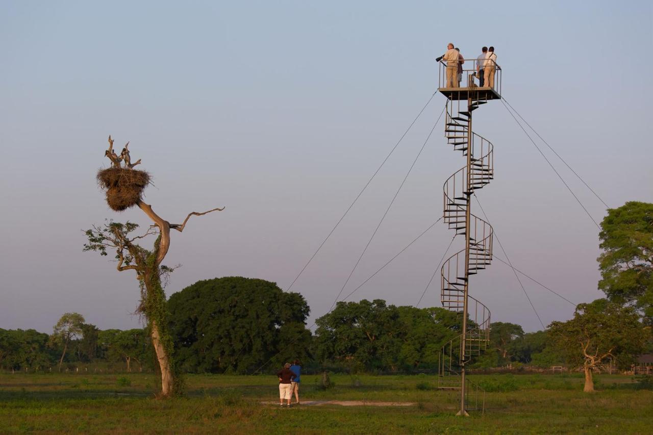 Southwild Pantanal Lodge Pixaim Exterior foto
