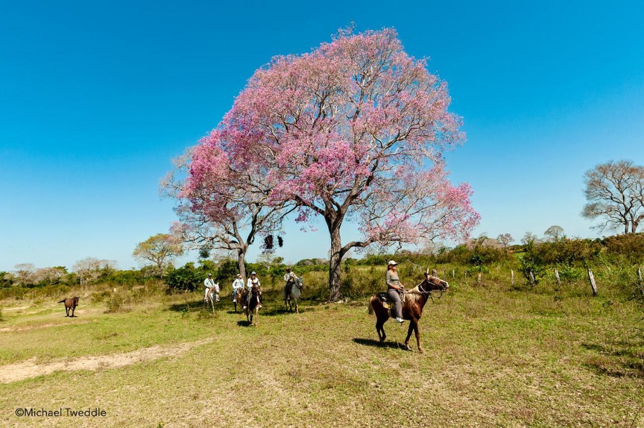 Southwild Pantanal Lodge Pixaim Exterior foto