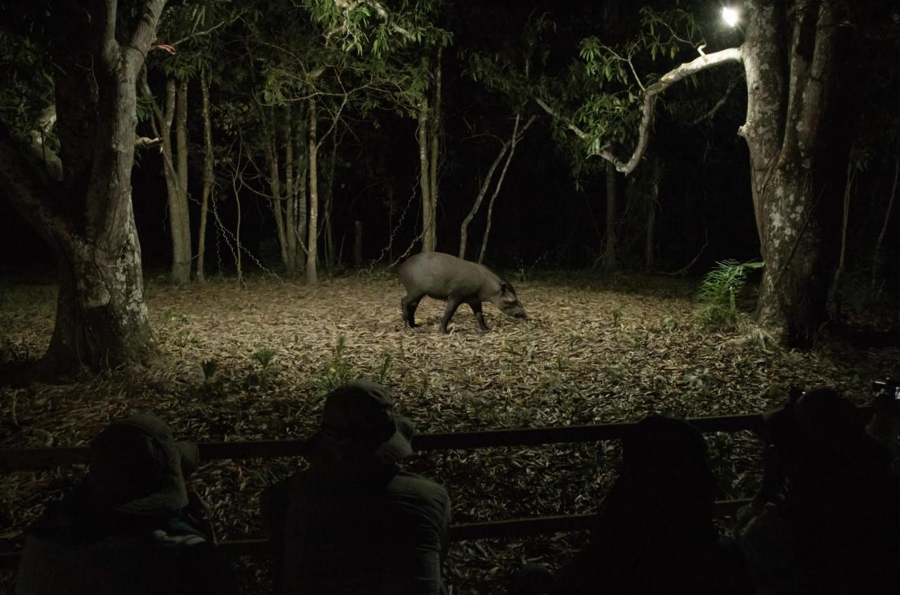 Southwild Pantanal Lodge Pixaim Exterior foto
