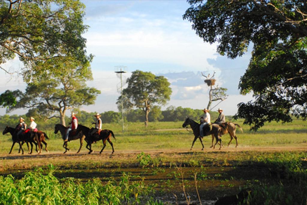 Southwild Pantanal Lodge Pixaim Exterior foto
